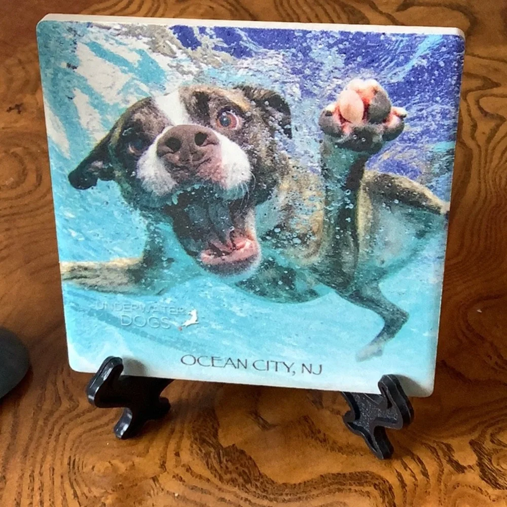 Flamingo candle coaster with stand Dog in water bundle 3 piece total